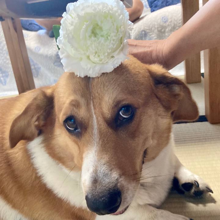 69431b2b 0598 411e aa64 325df4147848 1657455330870