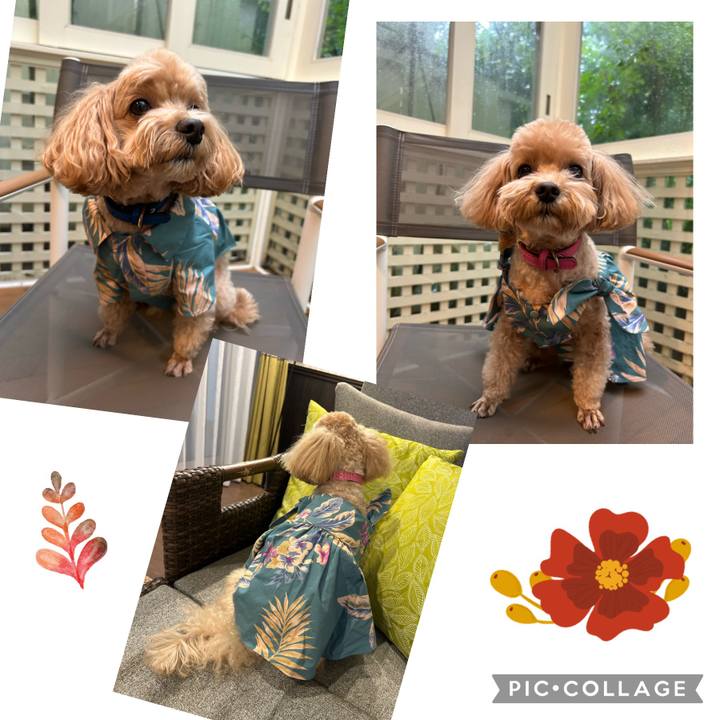 69433ea5 e14b 4e05 afda 603a7c7726b7 1697348459745