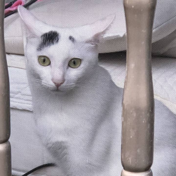 69434366 8e08 4a65 b8d1 89c057d8de5a 1561499268675