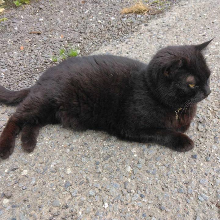 69435055 cc2b 4b19 a04d 194fde4cd03e 1719278684075