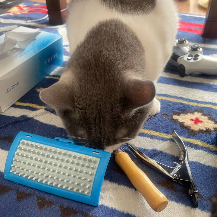 69436a46 9655 4741 9d74 e18e8c76f4dd 1667698746440