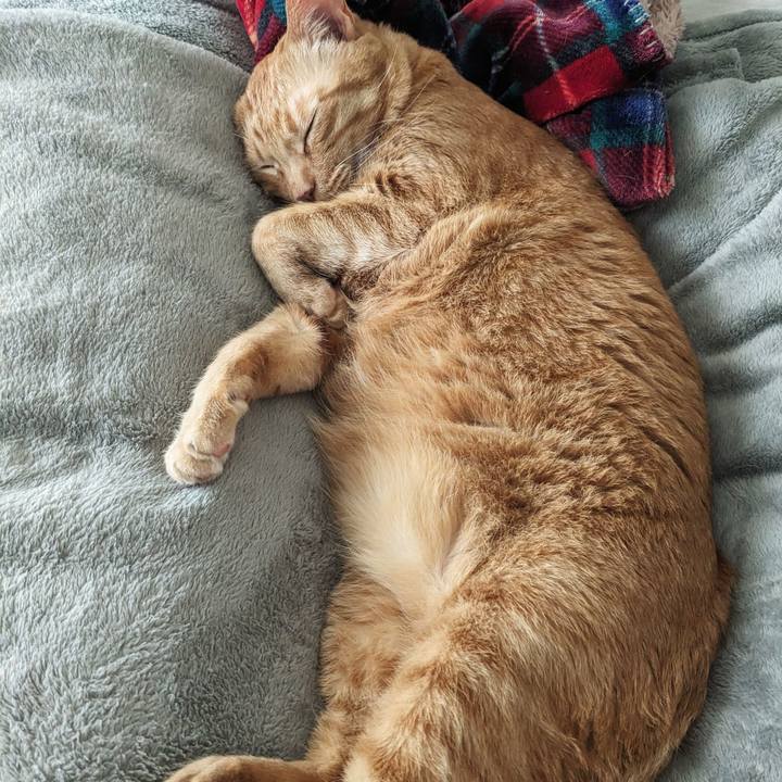 69437a7d aa73 41a0 932e 6c63158055ee 1748164314718