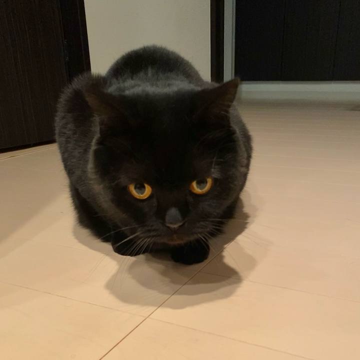 6943c215 6f44 4ef7 8ef1 1f81d734bb4a 1620209134011