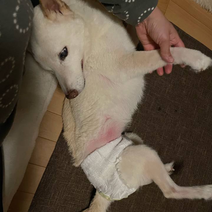 6943f131 8227 45c7 8858 06a95e2cb809 1668002733520