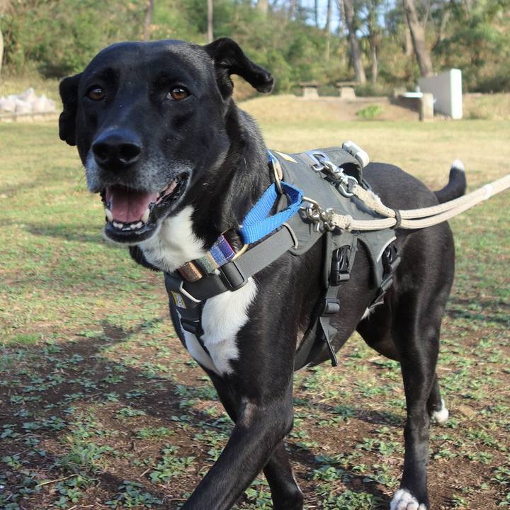 694412fe b191 4660 a772 d331bac5fde7 1647218185811