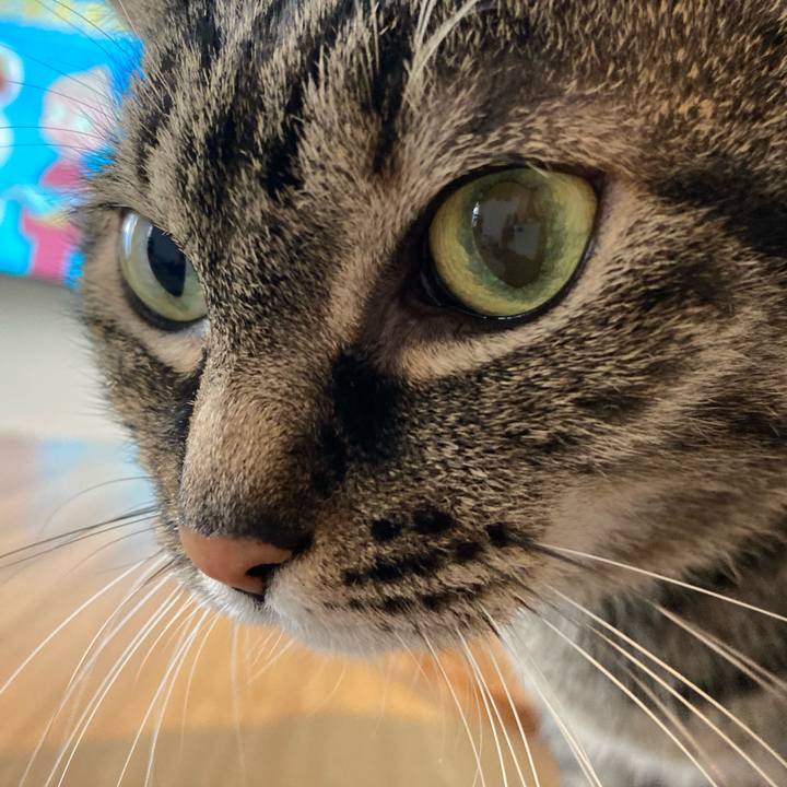 69442792 ef39 4d83 ab4b 0c0b51eeaee9 1742708849842