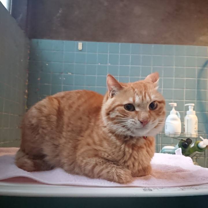 694427d8 acd9 4ec8 a52d ce7bceee0ffb 1649060393717