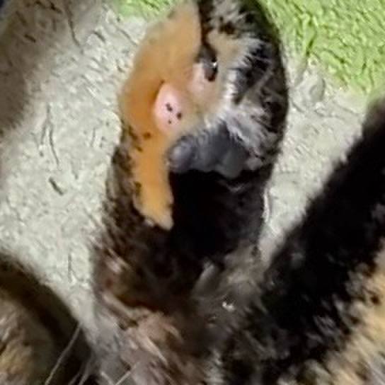 69442b50 fad0 4a36 90bb cdda5b72c24c 1759178004132