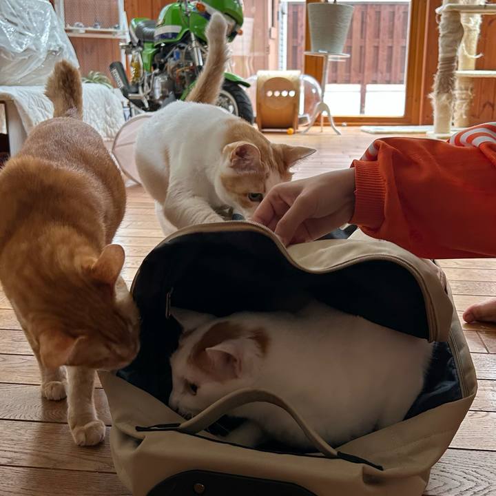 694476a5 a630 44ee a3c0 1500a43ccfb2 1685076128071