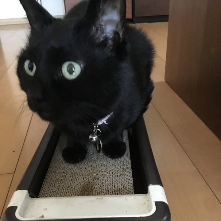 69447cd9 cc3e 4491 b130 c056bcf6c9db 1764994673233