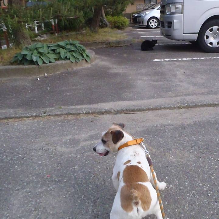 69450ecd ccf3 4d8e a0f6 a5a50797df62 1527155613586