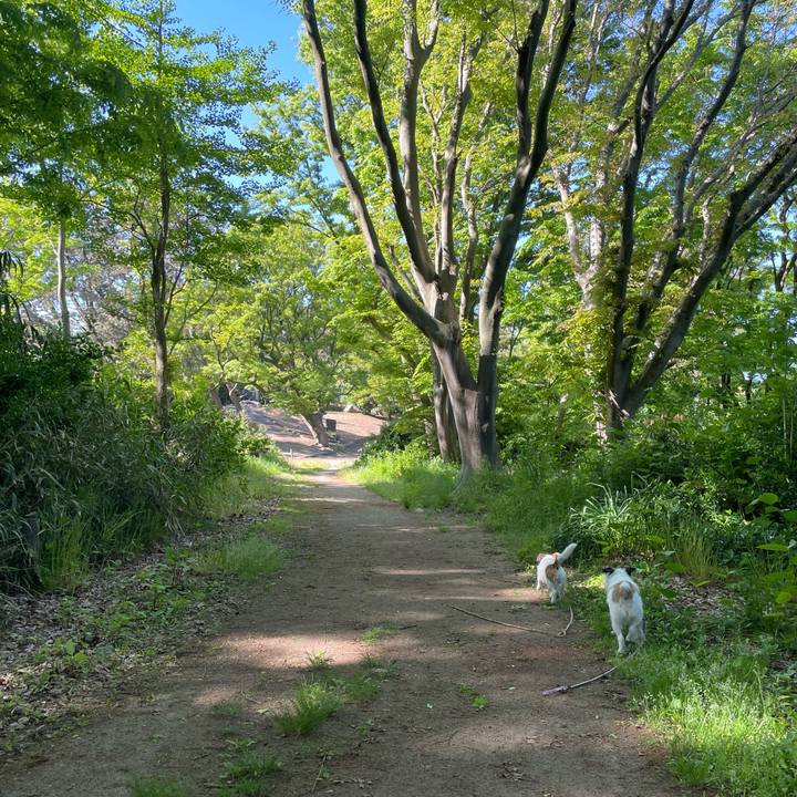 69450f68 cb3b 43b7 ae58 c69227aca169 1651973279127