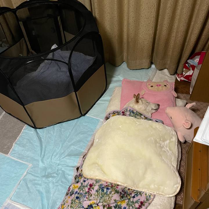 694547ad 2062 40e4 878f 64da12013c18 1640618309313