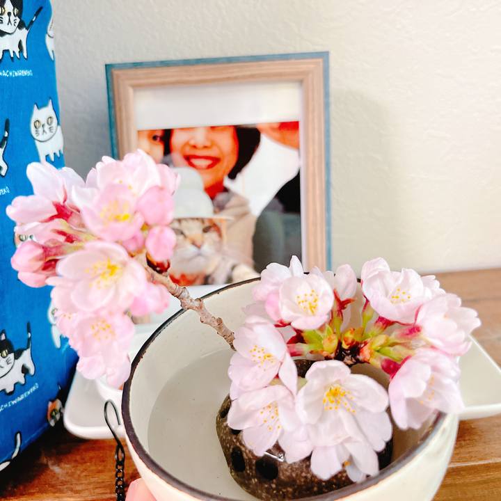 694551a3 45a1 459a b7f8 67b65be1a740 1648346747600