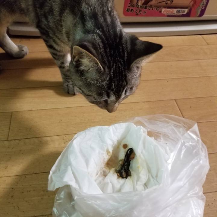 694558c7 2d1c 4352 9a45 e434007885b4 1677939234785