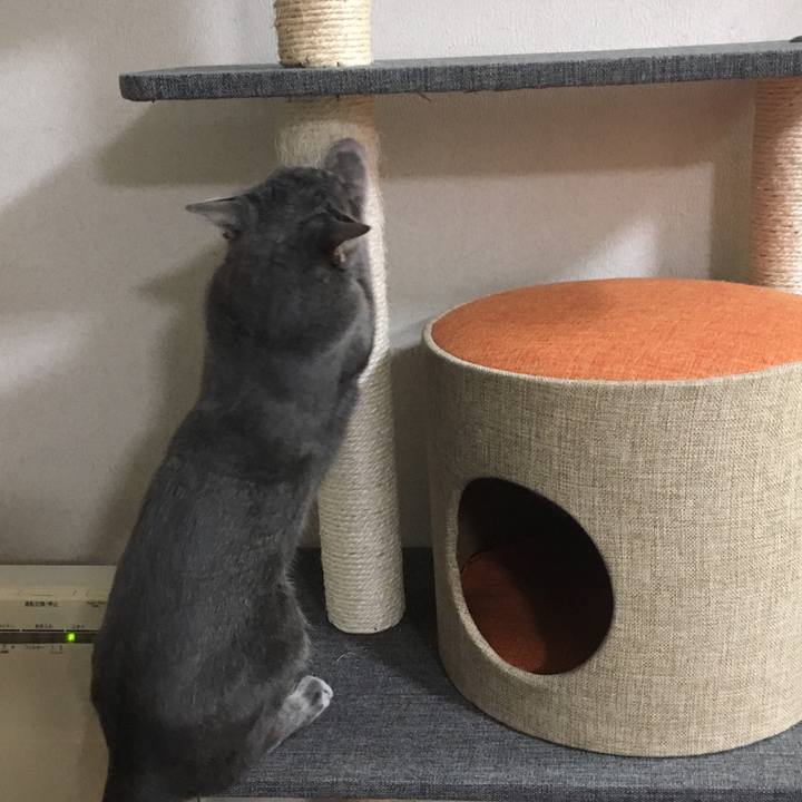 6945e435 ea9a 4c1b 82ed 1e0932641431 1548426714988