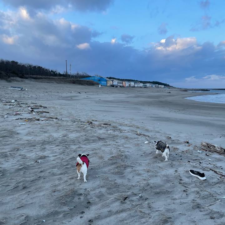 69462865 600c 4237 93f8 456bc4f6fe51 1737760617095