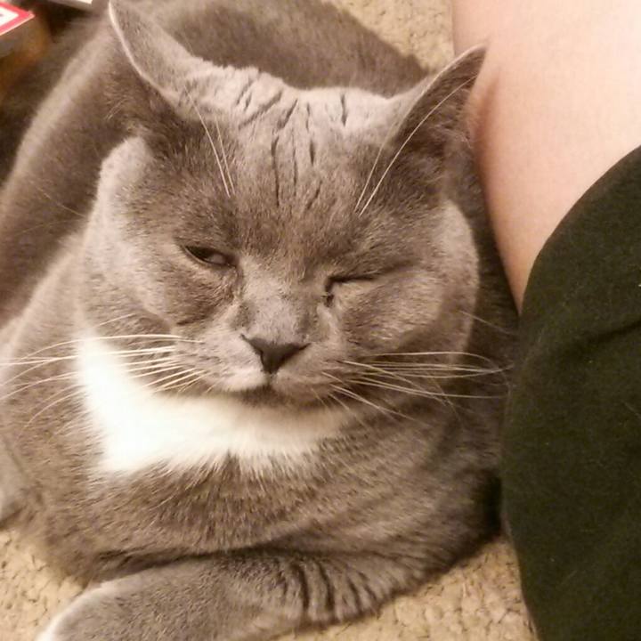 69467ca3 e61a 4eb4 af97 25fcf5e0a4a6 1581820415046