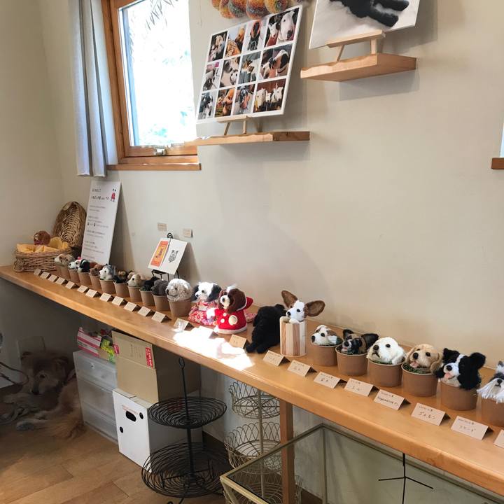 6946877f 9d99 41a8 82d0 dd95325c6d1c 1540105072969