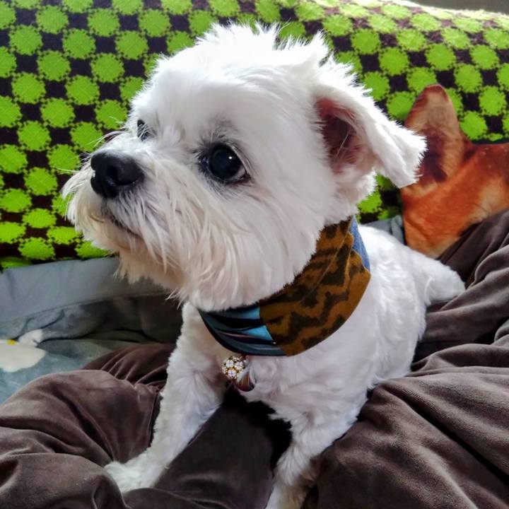 69468f79 7e7c 46ff 9df7 a3487d3bf9a3 1698409928649