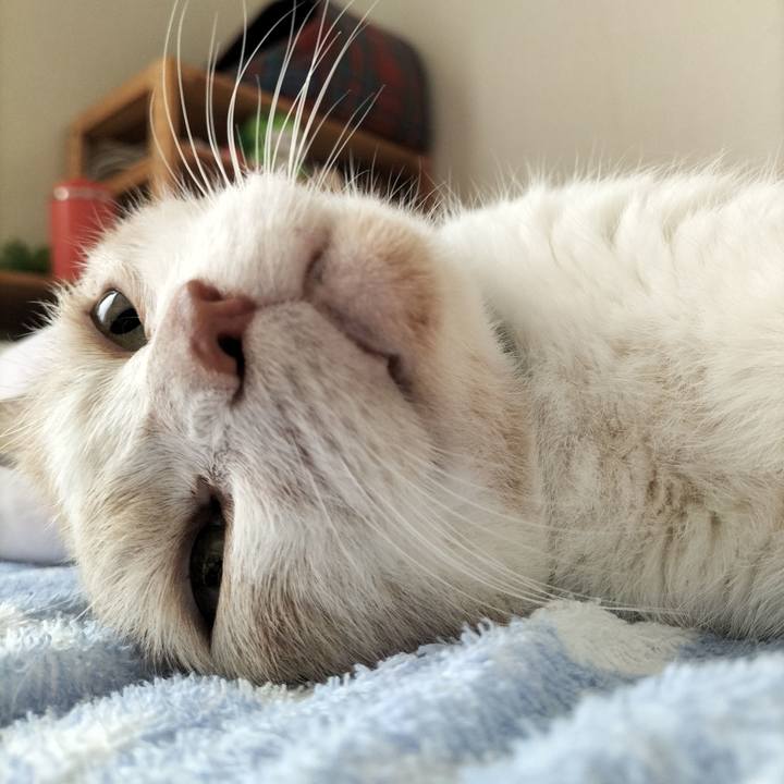 6946982e 814e 4d41 bf91 ce115afa0ddc 1658443789450