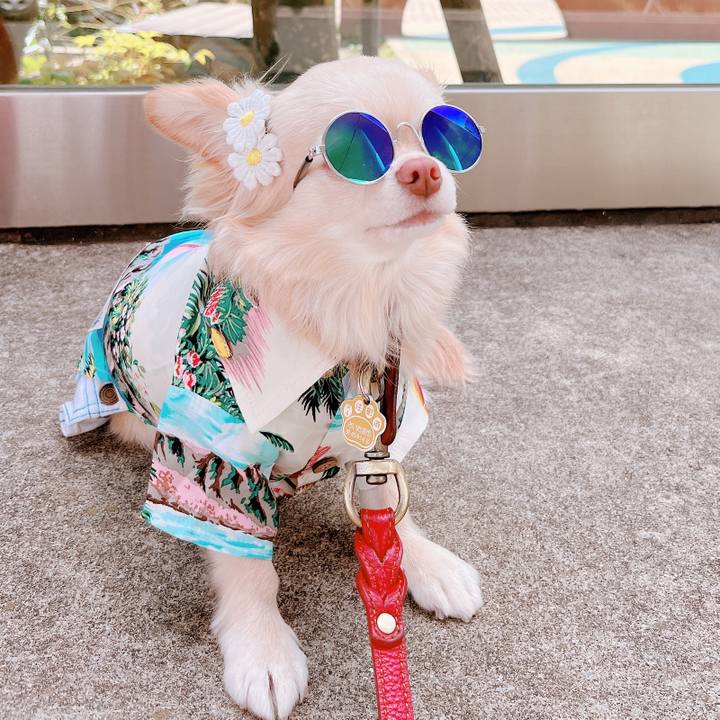 6946fea5 b949 4de9 8ee0 a792e0851eda 1655118725234