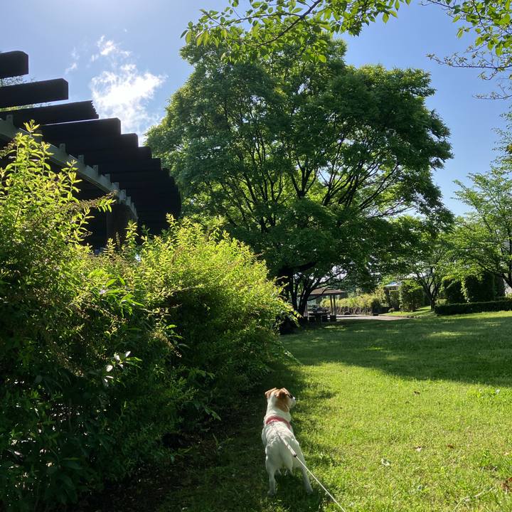 69470066 6679 4b19 ac82 b50941ca37c3 1714629862526