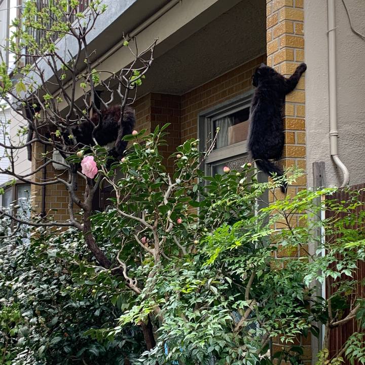 69473c49 0ed7 4616 85ec 22def0804232 1584603316268