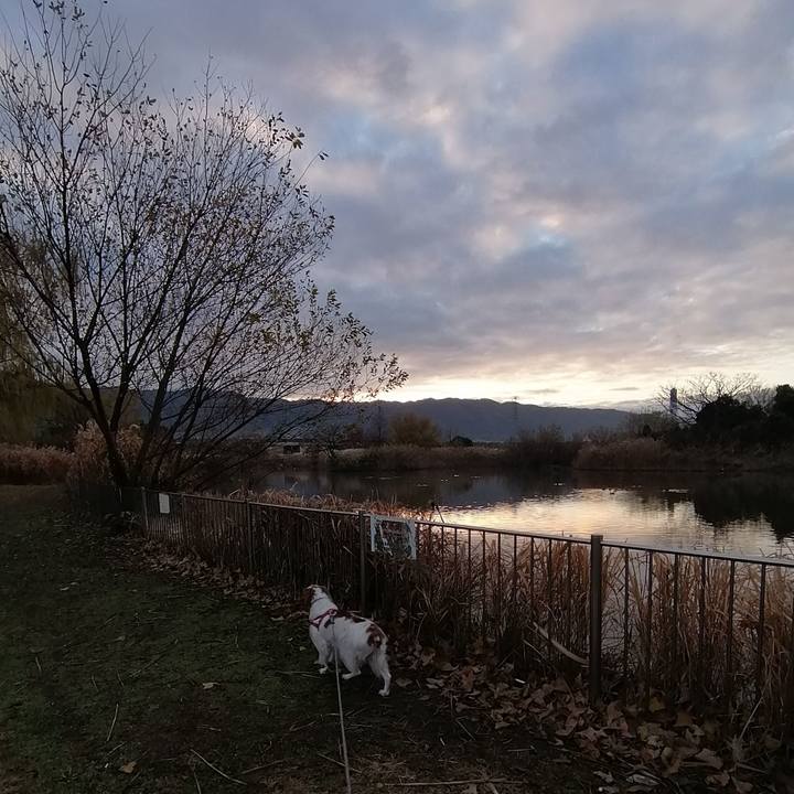 694747ce 7bab 415f 9be4 98377a694108 1577495903452