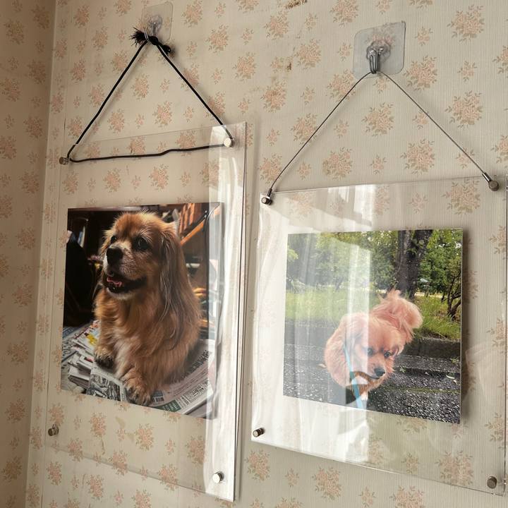 6947489d 3a7b 4847 9e46 545016b20fd1 1763769363442