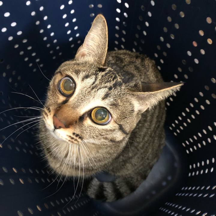 69474c22 d02b 4ff7 9589 b88e4a599970 1519221902665