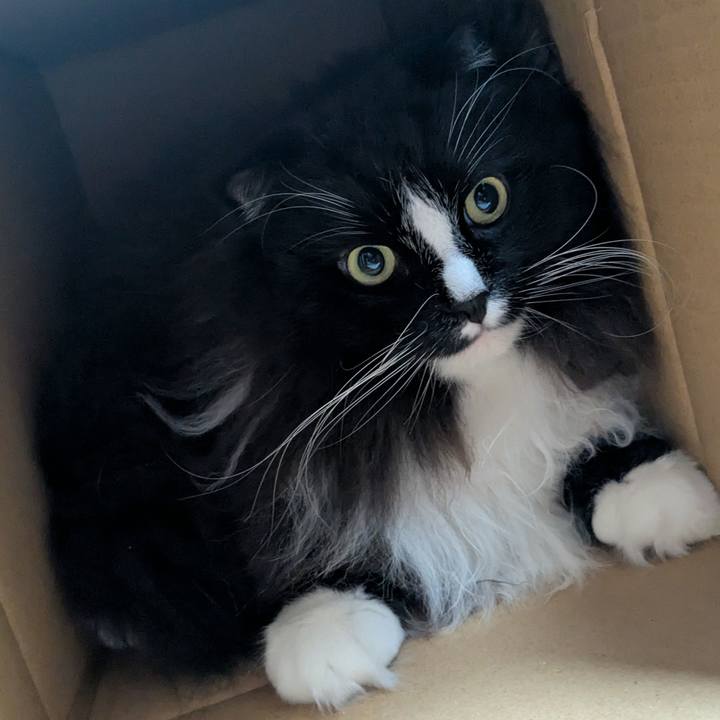 69474e93 d8f0 4360 9081 c0f177540d3b 1765314240038