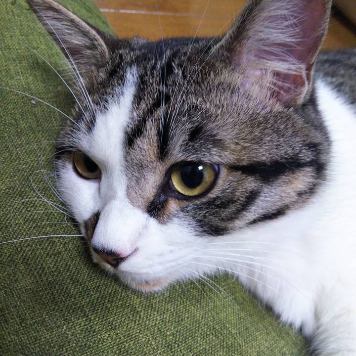 69477fe5 e438 4b3f aed2 1b8bebeb914f 1622808333252