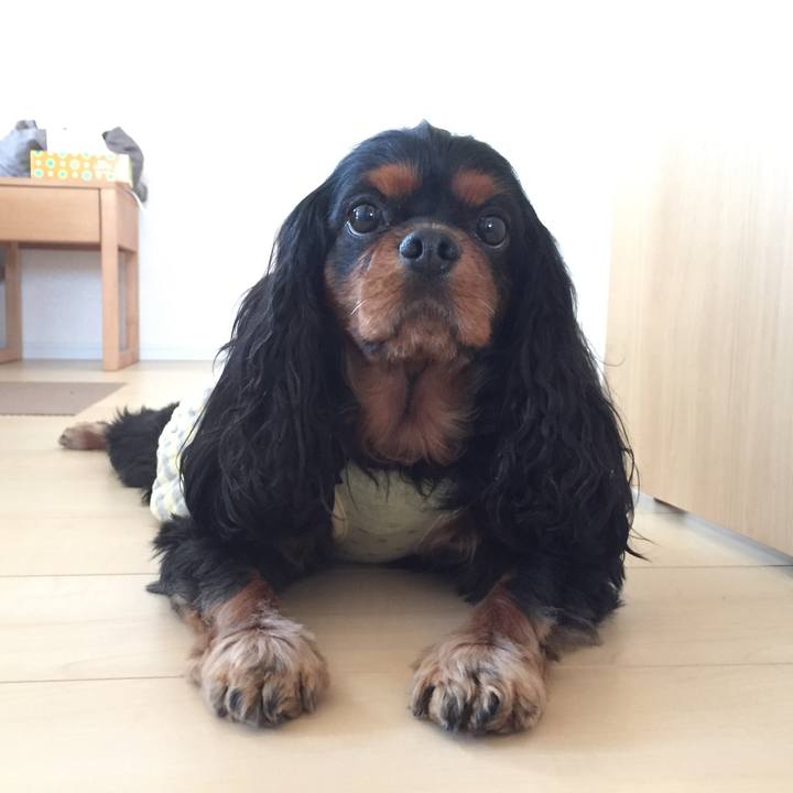 69479381 4761 4db5 8ce7 b7857a2429cb 1524642049458