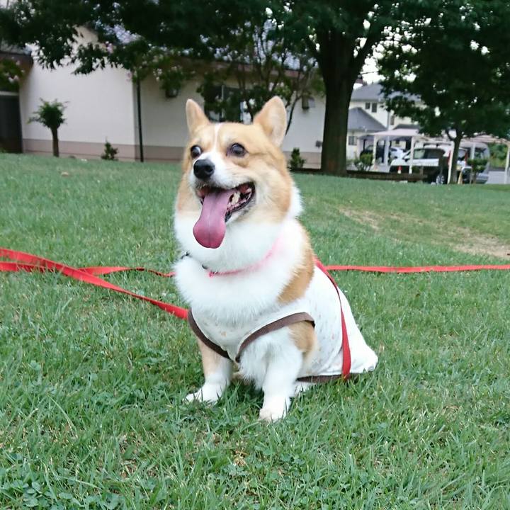 6947f6ce 6700 4bd5 be97 7fb21b56f679 1534885371305