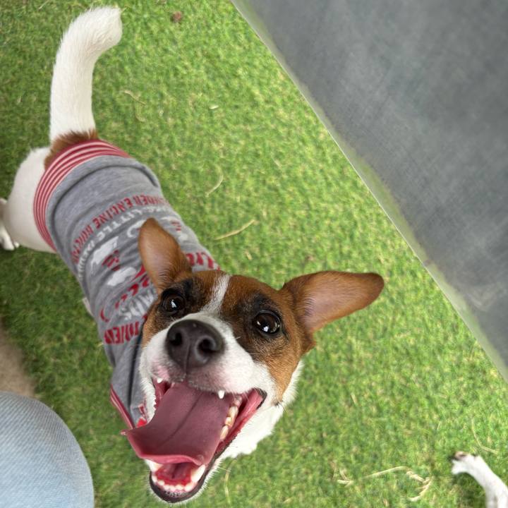 69483061 1ff1 4c77 b75a a7da587dfdff 1727682964205