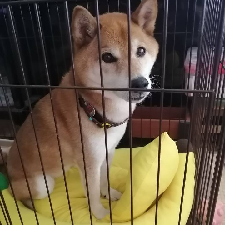 69484280 4cf3 41f3 af0e 66669e7199d0 1687071397510