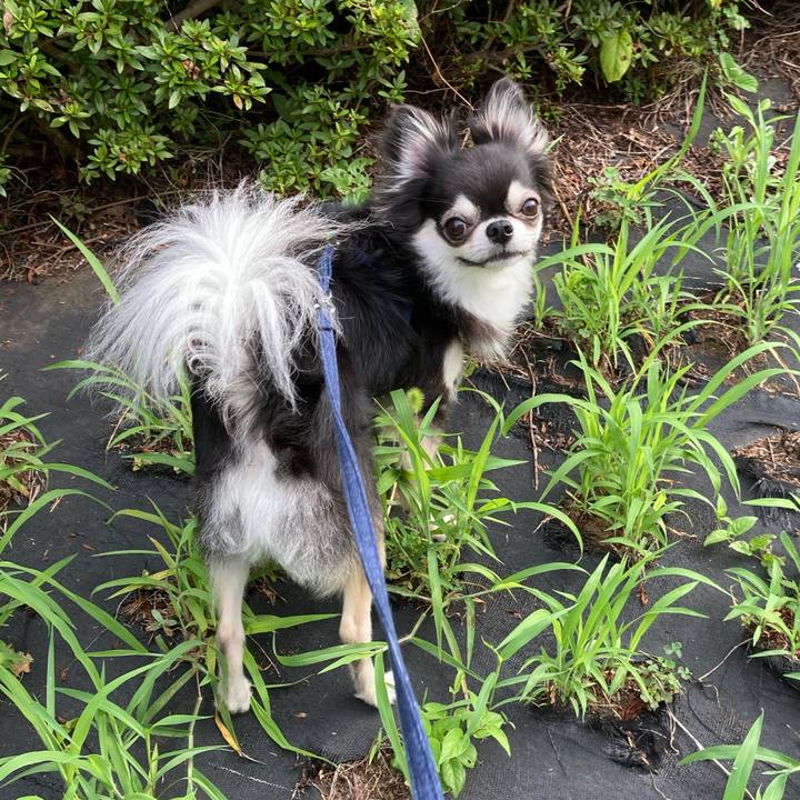 694849a4 aeaf 4ab9 b1f2 fdae018061c9 1658669681349