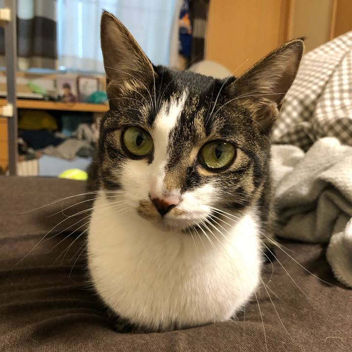 694859a3 5a26 4627 8b10 a17815f43933 1515050536177