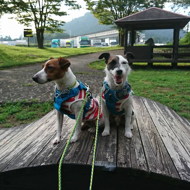 69487057 cb10 43fb 89d6 4248906ad00b 1567375047057