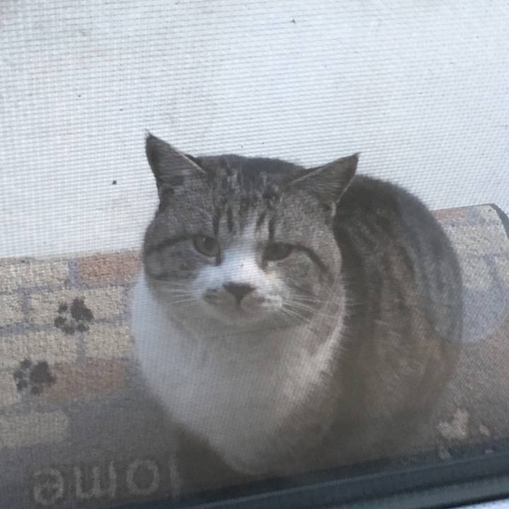 6948813f 9f9a 48b8 b63c 3e9a183d220b 1517039634320