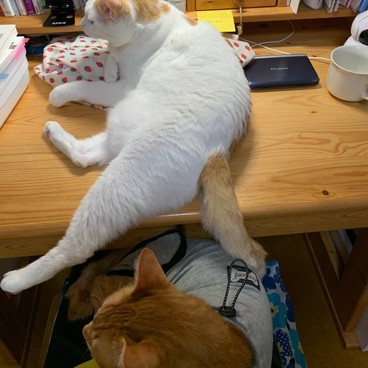 694885b7 1e2d 4881 a330 69d283de8b35 1635886469937