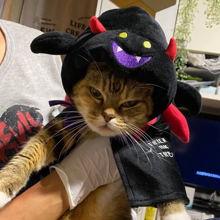 6948a548 d0c3 4a9f b8ef 6a648f04edb7 1605449430171