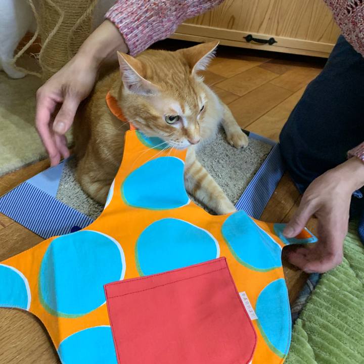 6948e627 31fb 47f2 b534 9631b644c8fc 1555989733089