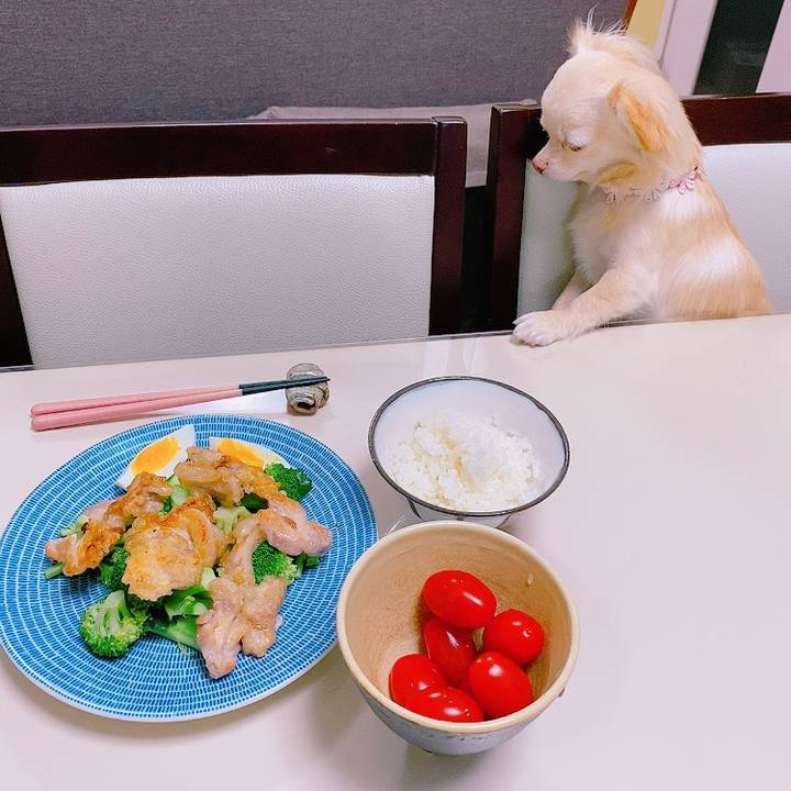 6948e810 2515 415b 97da dae673200ae3 1621857281123