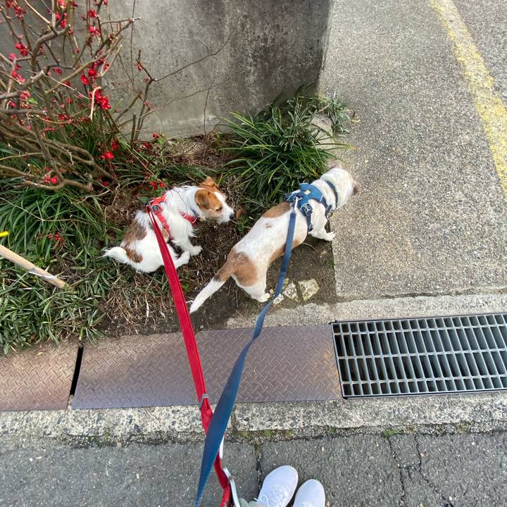 69490486 0931 41f2 9671 fece7319eedd 1677884976477