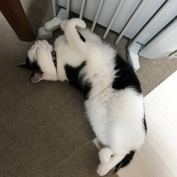 69490773 05c6 4b2d b61d e5c6318114c3 1541244529633