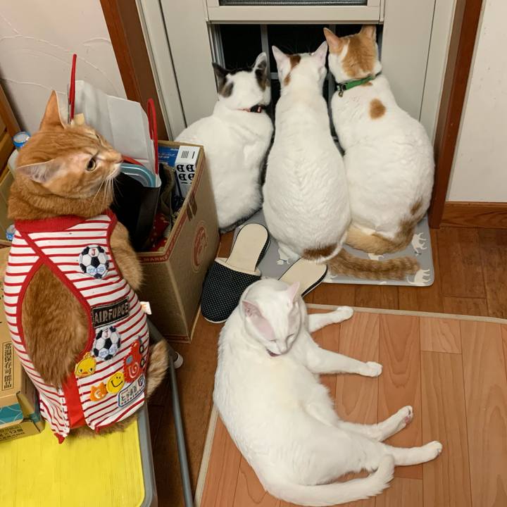 69492477 43d7 4331 8c29 f33a128241f8 1578409658700