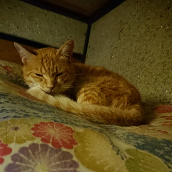 6949366d 155d 430d b2d6 37d98d61ecb0 1596025184485