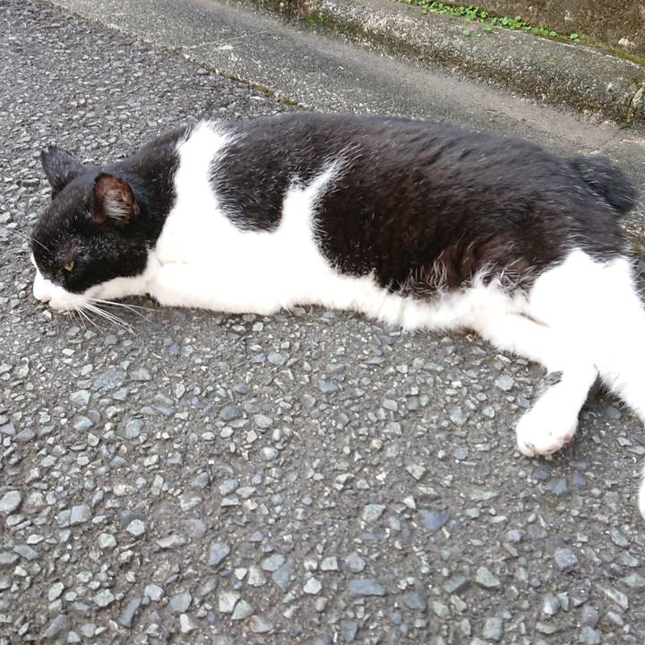 69494646 8f94 43cd 91ba 8f2abb8b7e59 1694995229600